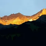Laubrinus * Adelboden