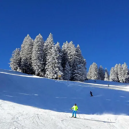 Laubrinus * Adelboden