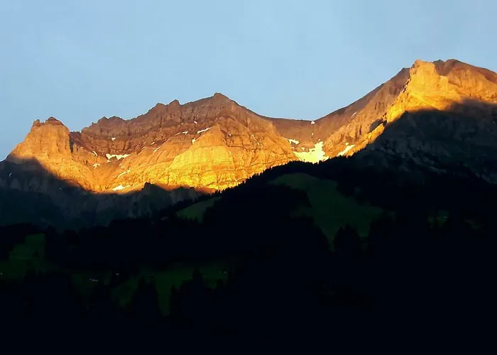 Laubrinus * Adelboden