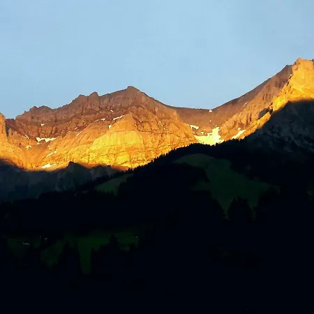 Laubrinus * Adelboden