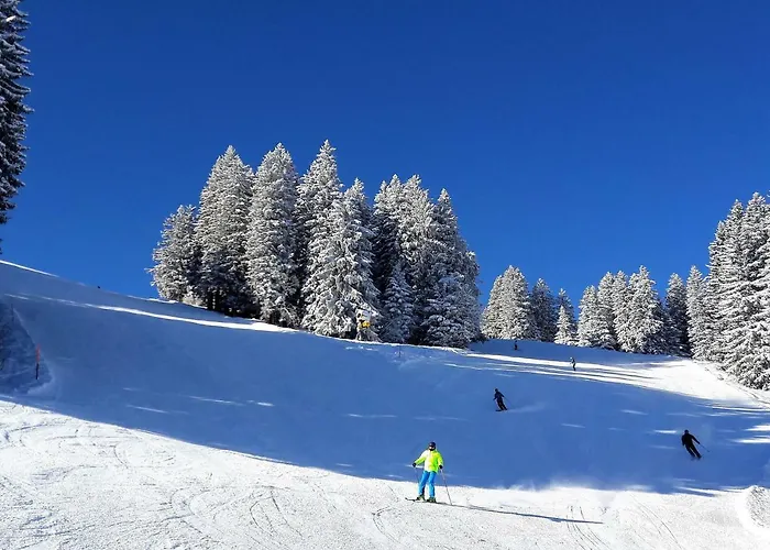 Laubrinus * Adelboden